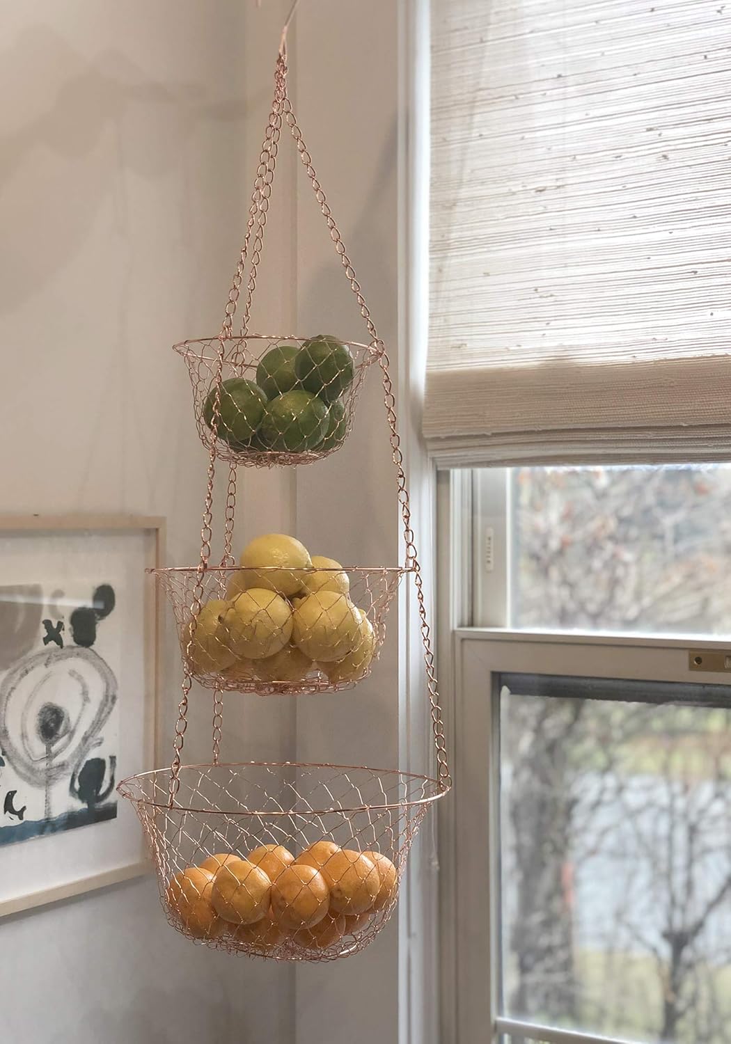 Graduated Classic Wire Hanging Basket Trio - Image 5